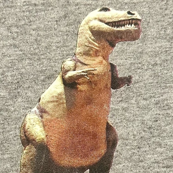 Cahazon CA Tyrannosaurus Dinosaur Raglan 3/4 Length Sleeves Tee Youth Small - Picture 4 of 9